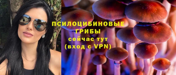 мяу мяу мука Алексеевка