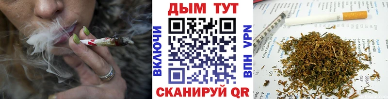 дарк нет как зайти  Ардон  Канабис OG Kush 